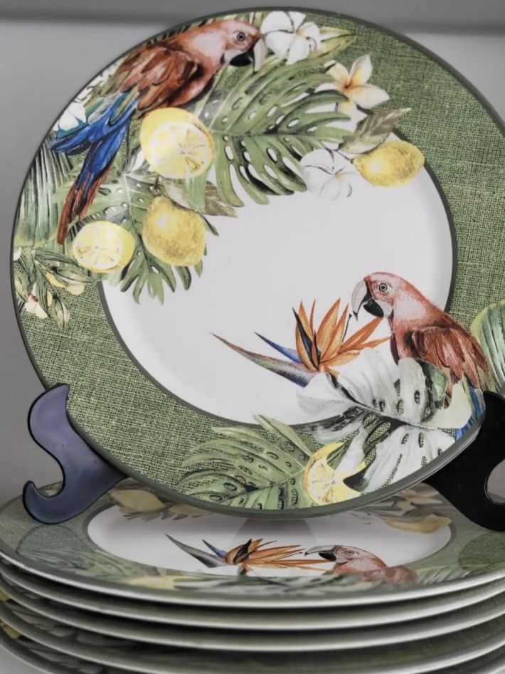 18 PCS DINNER PLATES SET