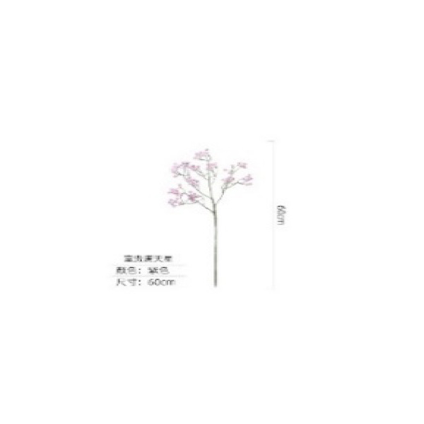 Gypsophila- purple