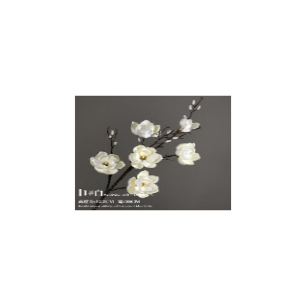 Magnolia - white