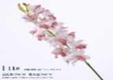 Little Cymbidium 78*10cm