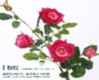 rose with 5 buds pink 96*28cm